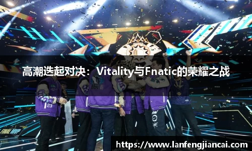 高潮迭起对决：Vitality与Fnatic的荣耀之战